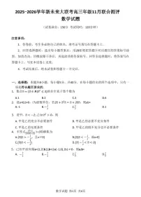 2026届河南省新未来大联考高三上学期11月模拟预测数学试题（含答案）