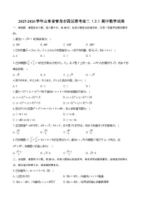 2025-2026学年山东省青岛市四区联考高二（上）期中数学试卷（有答案和解析）