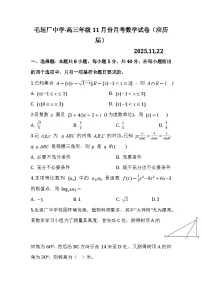安徽省六安市毛坦厂中学2026届高三上学期11月月考数学试卷及参考答案（应历届）