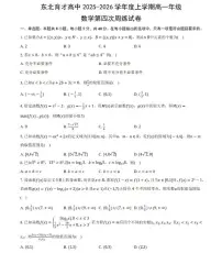 辽宁省沈阳市东北育才学校2025-2026学年高一上学期第四次周测数学试卷（月考）