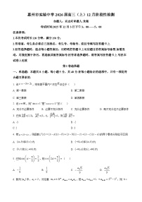 广东省惠州市实验中学2026届高三上学期12月阶段性检测数学试题（含答案）