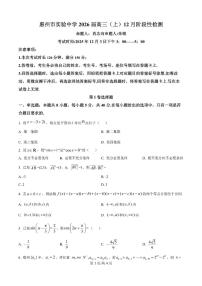 数学-广东省惠州市实验中学2025-2026学年高三上学期12月阶段性检测