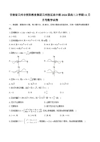 甘肃省兰州市贺阳教育集团兰州校区高中部2026届高三上学期11月月考数学试卷（含答案）