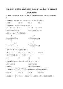 甘肃省兰州市贺阳教育集团兰州校区高中部2026届高三上学期11月月考数学试卷（含答案）