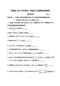 上海市杨浦区2026届高三上学期模拟质量调研（一模）数学试题（月考）
