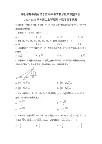 湖北省鄂东南省级示范高中教育教学改革联盟学校2025-2026学年高二上学期期中联考数学试卷（学生版）