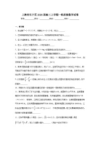 2025-2026学年上海市长宁区高三上学期一轮质检数学试卷（附答案解析）
