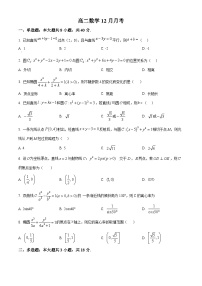 湖北省黄冈市黄梅县育才高级中学2025-2026学年高二上学期12月月考数学试题（Word版附解析）