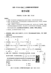 合肥一中2025-2026学年高二上学期期中教学质量检测数学试题