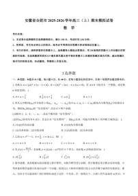 安徽省合肥市2025-2026学年高三（上）期末模拟数学试卷（含答案）