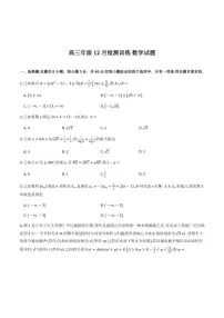 2026届高三上第一次八省联考（T8联考）数学试题（含解析）