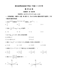 湖北省武昌实验中学2025-2026学年高一上学期12月月考数学试卷含解析（word版）
