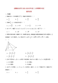安徽省合肥市2025_2026学年高二数学上学期11月期中测试含解析