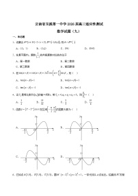 云南省玉溪第一中学2026届高三上学期适应性测试（九）数学试卷（Word版附解析）