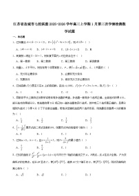 江苏省盐城市七校联盟2026届高三上学期1月第三次学情检测 数学试卷（含解析）