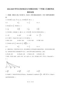 江苏省南京市六校联合体2024-2025学年高一下学期3月调研考试数学试卷（含答案）