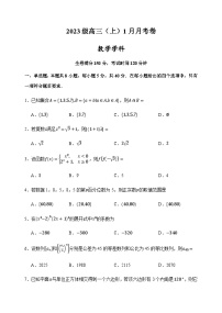 河南省焦作市第一中学2025-2026学年高三上学期1月月考数学试题（含答案）
