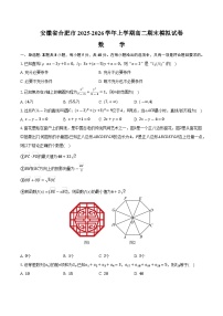 安徽省合肥市2025-2026学年高二上学期期末模拟数学试卷【含答案】