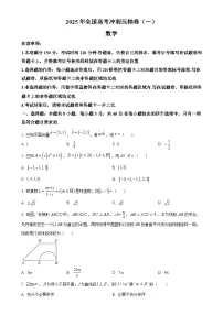 甘肃省平凉市第一中学2025届高三下学期高考冲刺压轴（一）数学试卷（原卷版）-A4