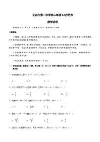 云南省文山壮族苗族自治州文山市第一中学2025-2026学年高二上学期12月月考数学试卷（无答案）