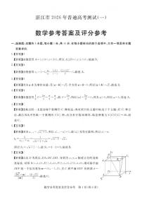 2026年湛江高考一模数学试题及答案