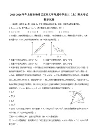 2025-2026学年上海市杨浦区复旦大学附属中学高三（上）期末数学试卷（含答案）