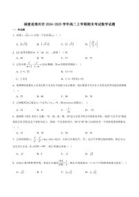 福建省漳州市2024-2025学年高二上学期期末教学质量检测数学试卷（含解析）