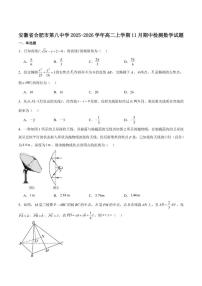安徽省智学大联考·皖中名校联盟（合肥市第八中学）2025-2026学年高二上学期11月期中数学试卷_(含解析_)