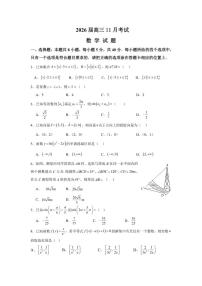 海南省海口市第一中学2025-2026学年高三上学期11月月考数学试题