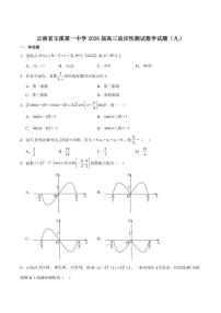 云南省玉溪第一中学2026届高三上学期适应性测试（九）数学试卷（含答案）