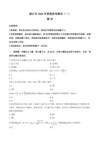 2025-2026学年广东省湛江市上学期高三高考一模数学_(含解析_)试卷
