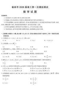 2026届陕西省榆林市高三上学期第一次模拟测试数学试卷（含答案）