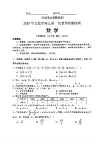 2026年合肥高三上学期期末数学试题及答案