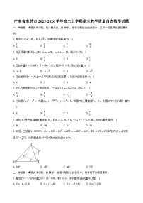 广东省东莞市2025-2026学年高二上学期期末教学质量自查数学试卷（含答案）