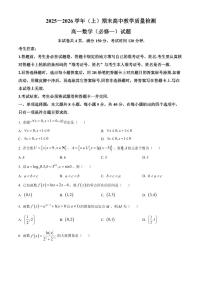 福建省漳州市2025-2026学年高一上学期期末数学试题（试卷+解析）