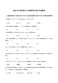 湖北省武汉市江岸区2026届高三上学期元月调研考试数学试卷及答案
