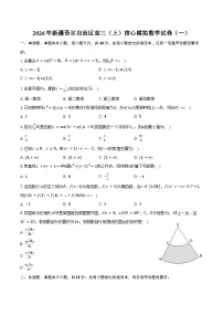 2026年新疆吾尔自治区高三（上）核心模拟数学试卷（一）（含答案）