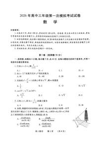 2026年河南濮阳市高三第一次模拟考试数学试卷（高考模拟）
