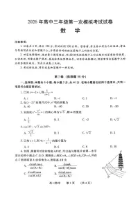 2026年河南濮阳市高三第一次模拟考试数学试卷（高考模拟）