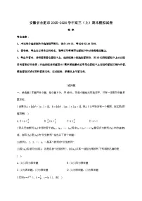 2025-2026学年安徽省合肥市高三上学期期末模拟数学试题 [附答案]