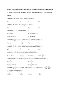 2025-2026学年广东省惠州市正弘实验学校高二上学期（12月）月考数学试题 [附解析]