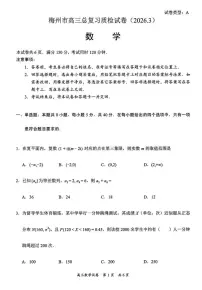 广东梅州市2026届高三下学期3月总复习质检数学试卷+答案