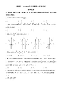 湖南株洲市第二中学2025-2026学年高一下学期开学考试数学试题（Word版附解析）