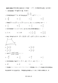 湖北省武汉市第二中学2025-2026学年高一下学期3月月考数学试题（Word版附解析）