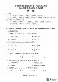 广西接班人教育2026届高中毕业班适应性测试数学试卷（含答案）