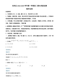 广东省深圳市龙岗区高三上学期期末质量监测数学试题（解析版）-A4