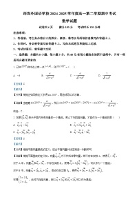 广东省深圳外国语学校高一下学期期中考试数学试题（解析版）-A4
