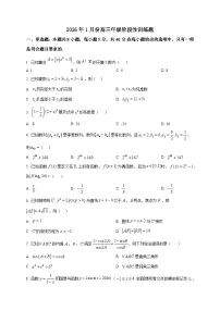 2025-2026学年广东省深圳市高三上册1月数学阶段性训练题（空白卷）