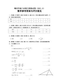 广东省梅州市2021届高三总复习二检数学试题