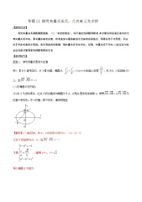 专题3.15 探究向量关系式，几何意义先分析-2020届高考数学压轴题讲义(解答题)（解析版）